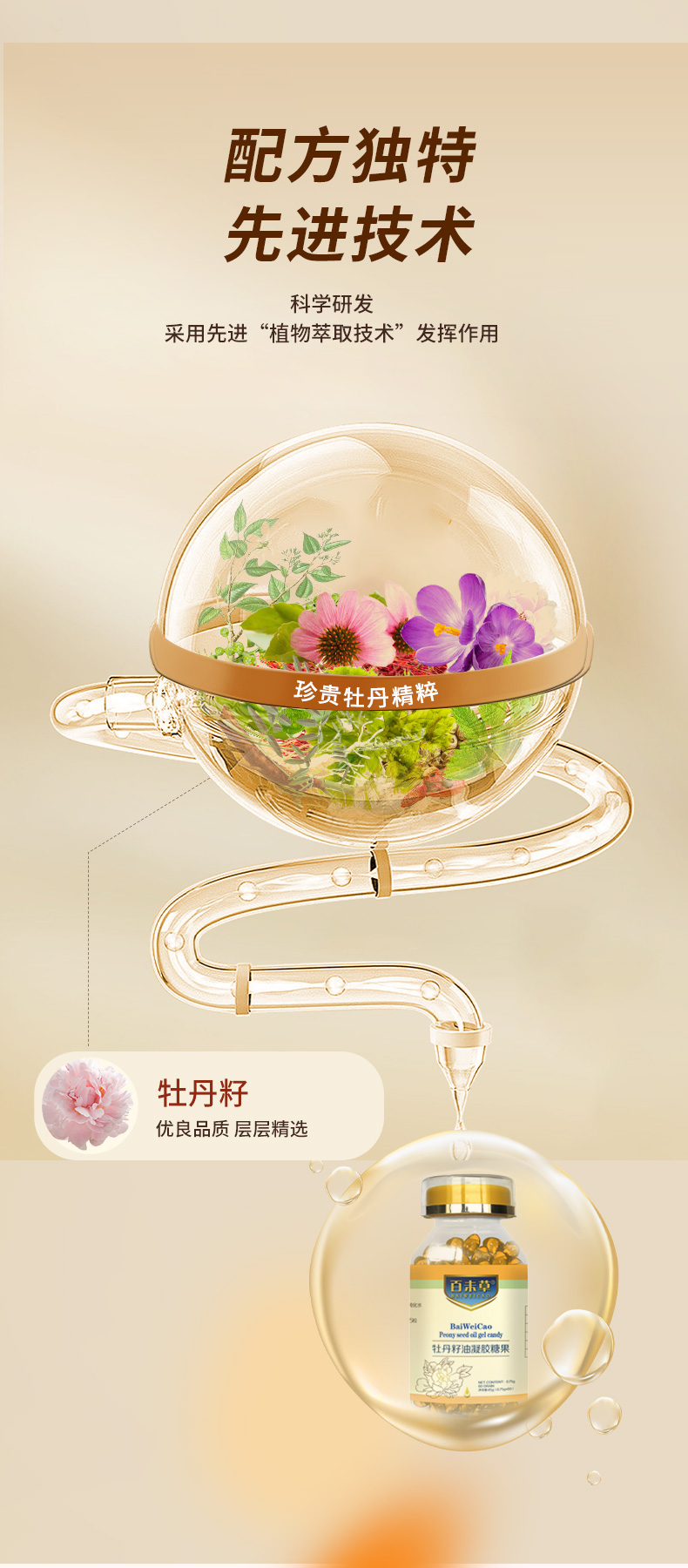 牡丹籽油凝膠糖果詳情_(kāi)06.jpg